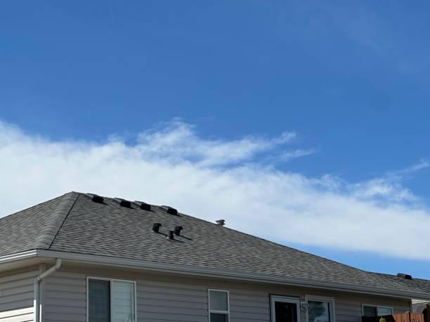 Best Skylight Installation and Repair  in Leavittsburg, OH